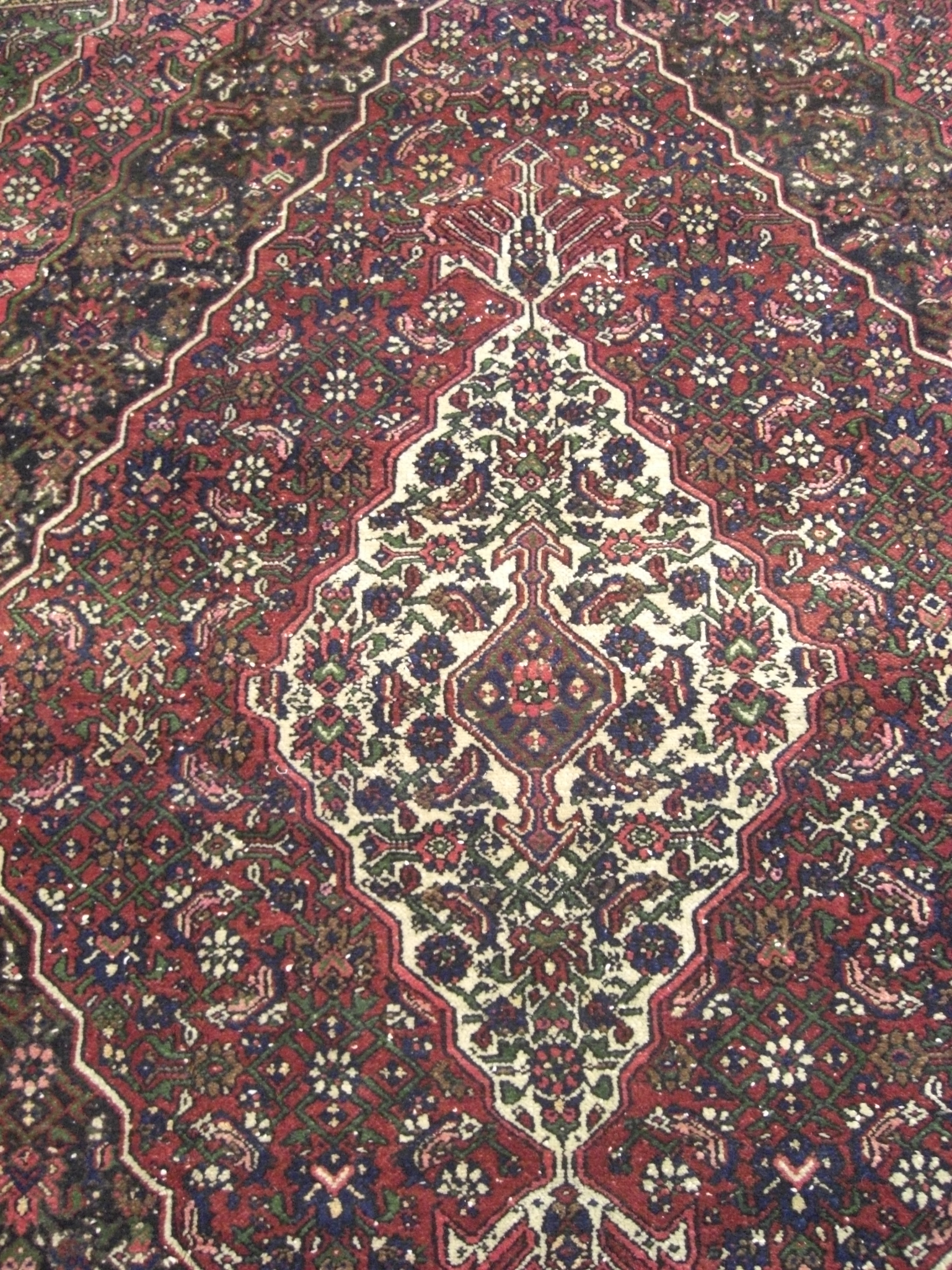 Rug image